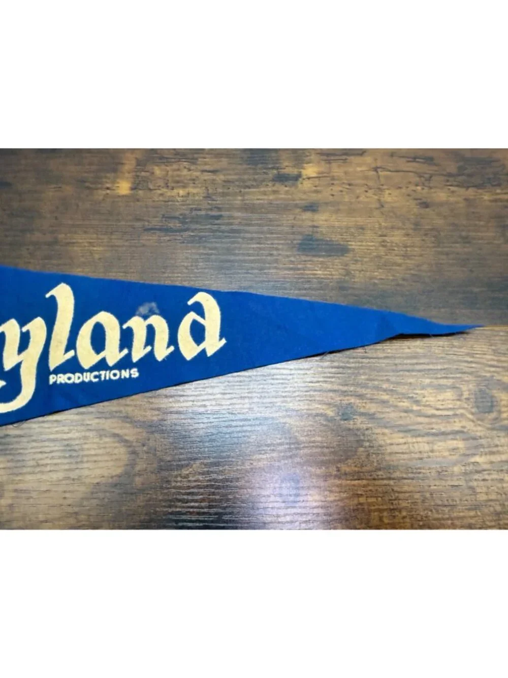 Vintage Disneyland Felt Pennant Blue Memorabilia 18 inches altered